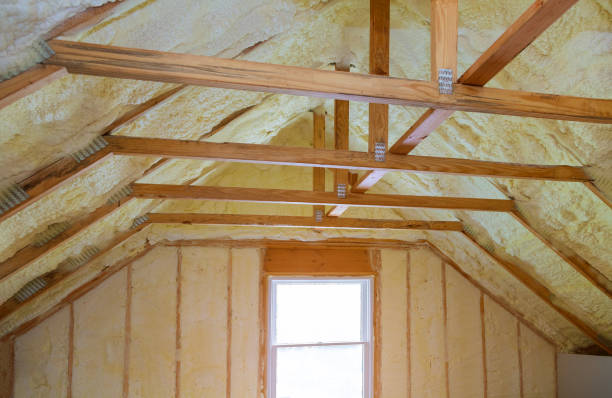 Best Energy Efficiency Solutions in Rainbow City, AL