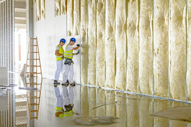 Best Insulation Maintenance and Repair in Rainbow City, AL